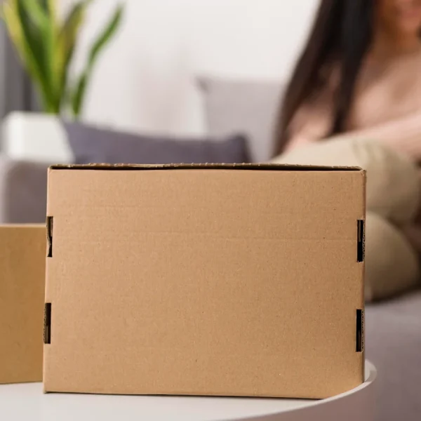Ecommerce Mailer Boxes