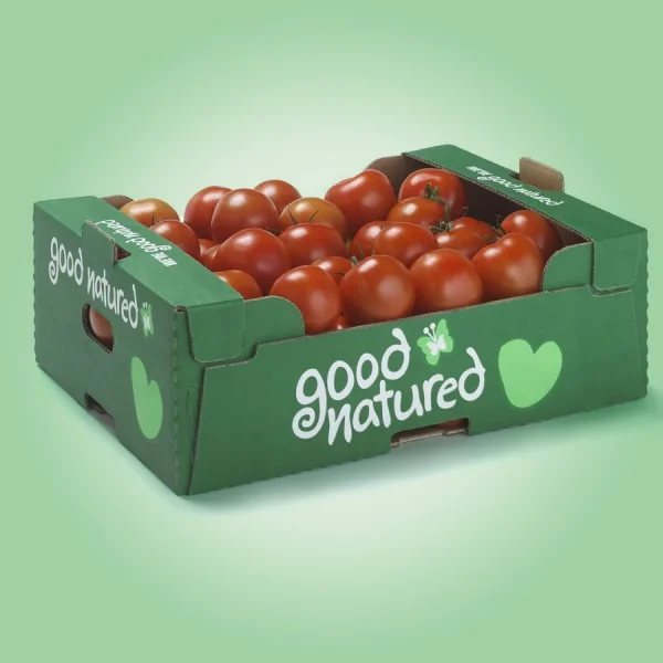 Tray Boxes