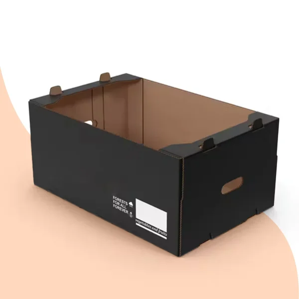 Tray Boxes